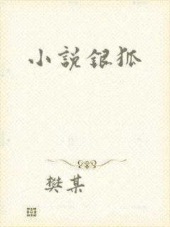 小说银狐