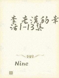 李老汉的幸福生活1-13集