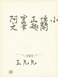 阿宾正传小说全文笔趣阁