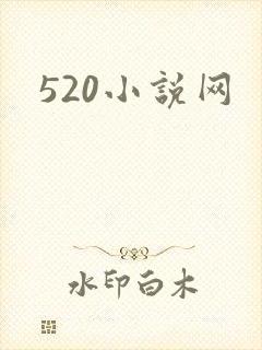 520小说网