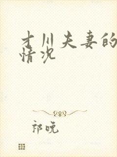 才川夫妻的恋爱情况