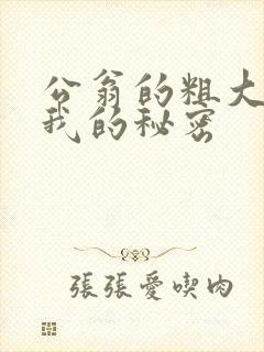 公翁的粗大放进我的秘密