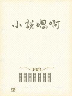 小说嗯啊