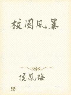 校园风暴