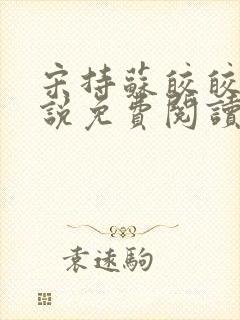 宋持苏皎皎的小说免费阅读