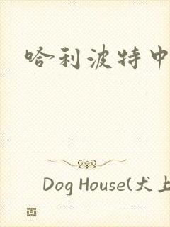 哈利波特中文版