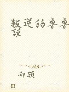 叛逆的鲁鲁修小说