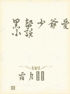 黑帮少爷爱上我小说
