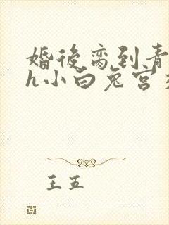 婚后脔到青梅哭h小白兔宫交h