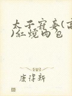 太子宠妾(高肉)红烧肉包