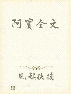 阿宾全文