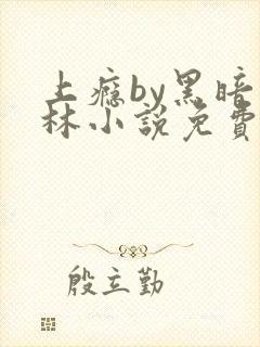 上瘾by黑暗森林小说免费