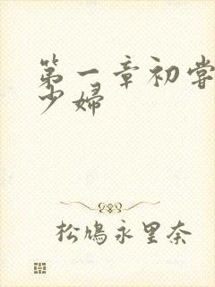 第一章初尝极品少妇