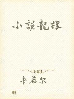 小说龙根