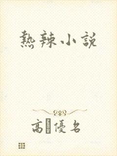 热辣小说