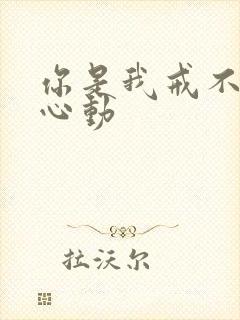 你是我戒不掉的心动