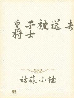 皇子被送去犒劳将士