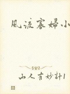 风流寡妇小说