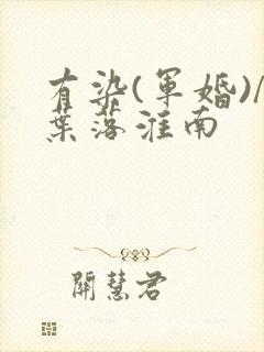 有染(军婚)/叶落淮南