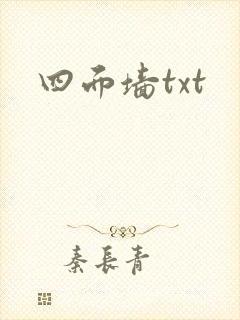 四面墙txt