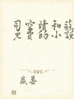 司空靖和苏月汐免费的小说笔趣阁