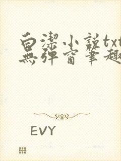 白洁小说txt无弹窗笔趣阁