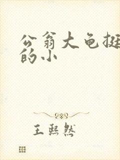 公翁大龟挺进我的小