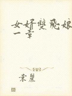 女婿双飞娘俩第一章