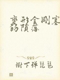 变形金刚塞伯坦的陨落封面