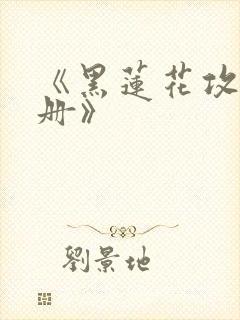 《黑莲花攻略手册》