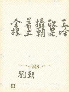 含着摄政王的紫根上朝是啥小说封面