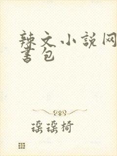 辣文小说网第二书包