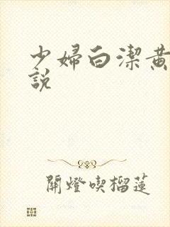 少妇白洁黄色小说