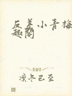 反差小青梅 笔趣阁