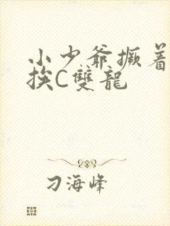 小少爷撅着屁股挨C双龙