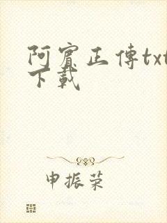 阿宾正传txt下载