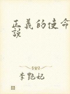 正义的使命 小说