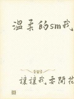 温柔的sm我
