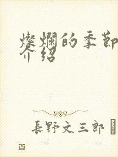 灿烂的季节剧情介绍