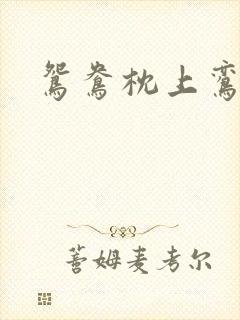 鸳鸯枕上鸾凤颠封面