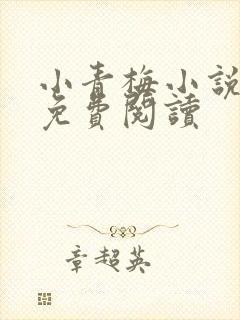 小青梅小说全文免费阅读