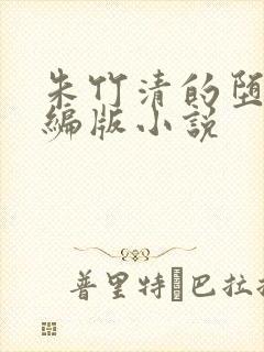 朱竹清的堕落改编版小说封面