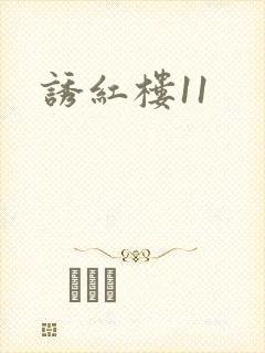 诱红楼11