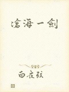 沧海一剑封面