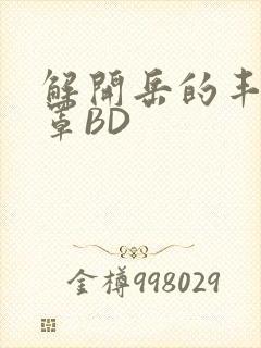 解开岳的丰满奶罩BD