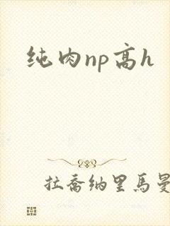 纯肉np高h