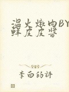 温火炖肉BY海鲜皮皮酱