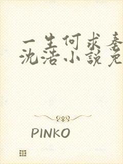 一生何求秦菲雪沈浩小说免费阅读全文笔趣阁封面