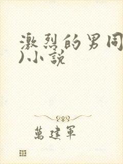 激烈的男同(h)小说