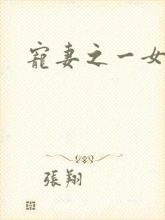 宠妻之一女二夫